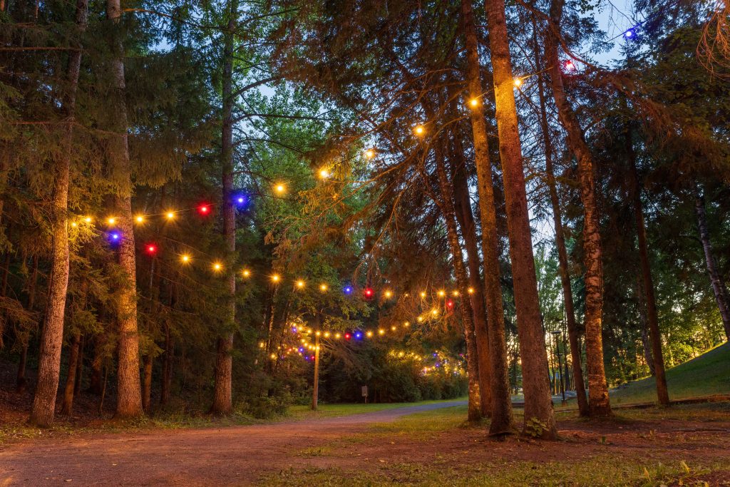 Parc Lepage sentier soir Parc Lepage sentier soir