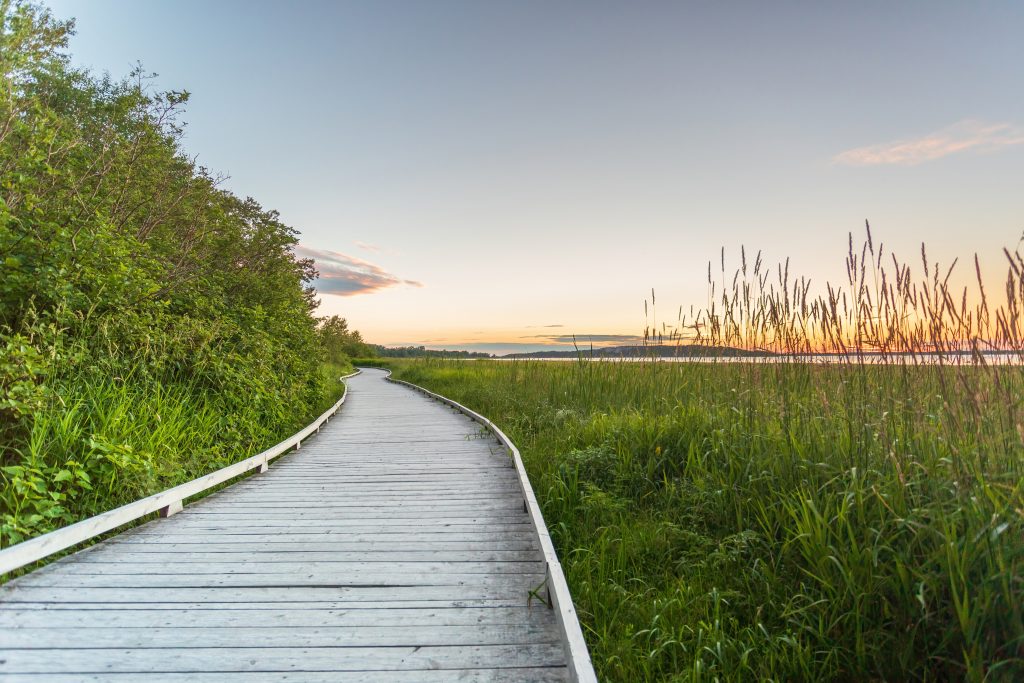 Sentier du Littoral Ville de Rimouski Sentier du Littoral Ville de Rimouski