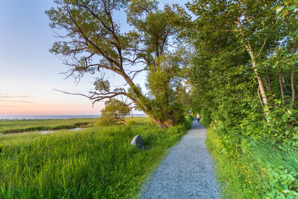 Sentier du Littoral Ville de Rimouski Sentier du Littoral Ville de Rimouski
