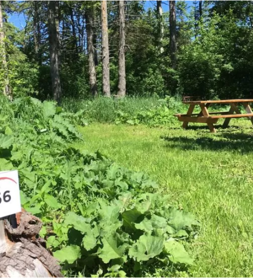 Camping Rimouski terrain de camping Crédit photo Camping Rimouski – Camping Rimouski