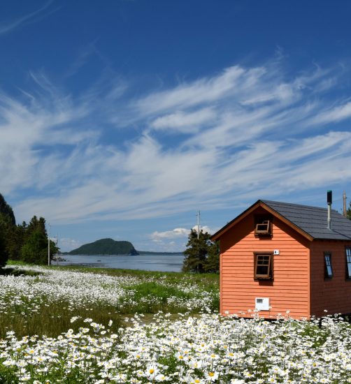 Domaine Floravie mini chalet – Domaine Floravie