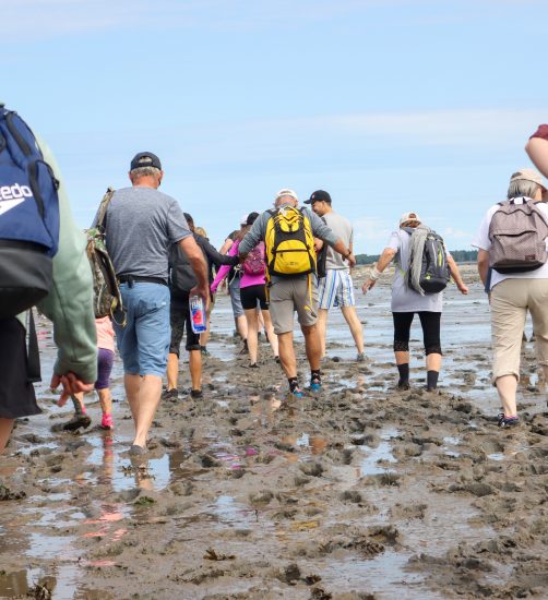 La Grande traversée à pied à l'île Saint-Barnabé Groupe de personnes qui traversent Crédit Alexandre Sirois – The Great Crossing on foot to Saint-Barnabé Island