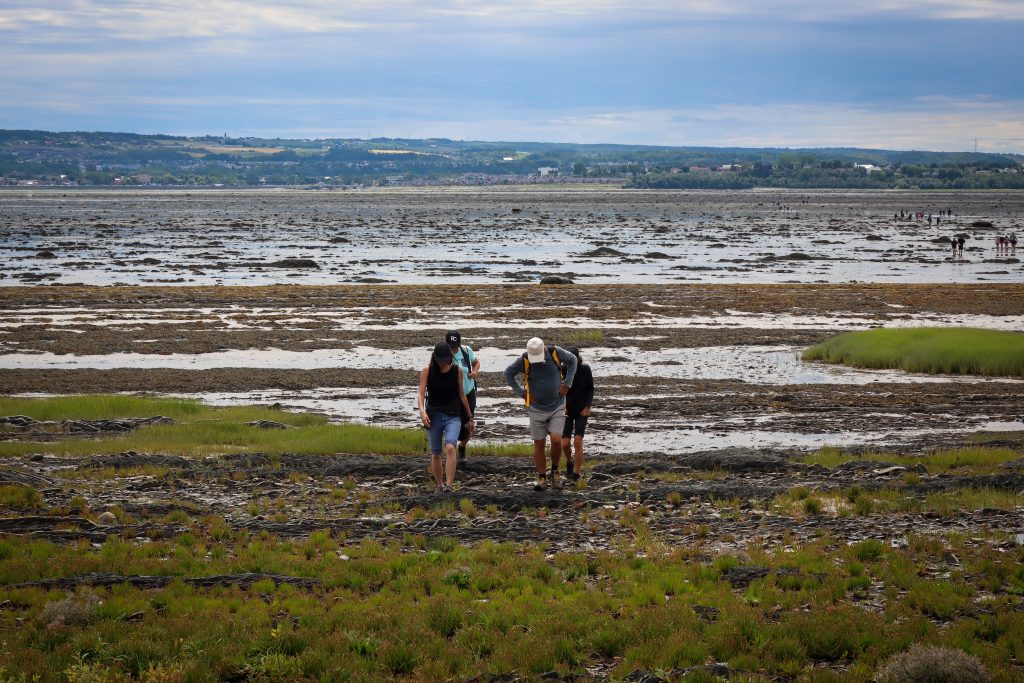 La Grande traversée à pied à l'île Saint-Barnabé Deux personnes qui traversent Crédit Alexandre Sirois La Grande traversée à pied à l'île Saint-Barnabé Deux personnes qui traversent Crédit Alexandre Sirois