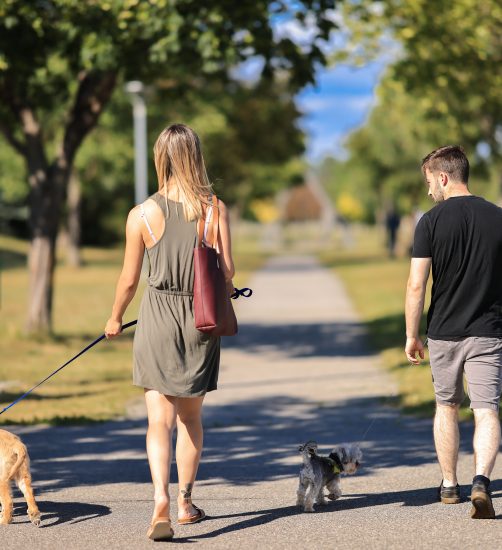  – Rimouski River Trail