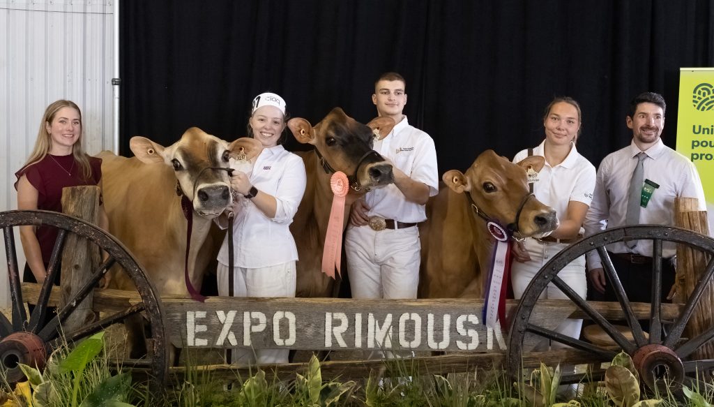 Vaches Exposition agricole Crédit Photo JF Gagné