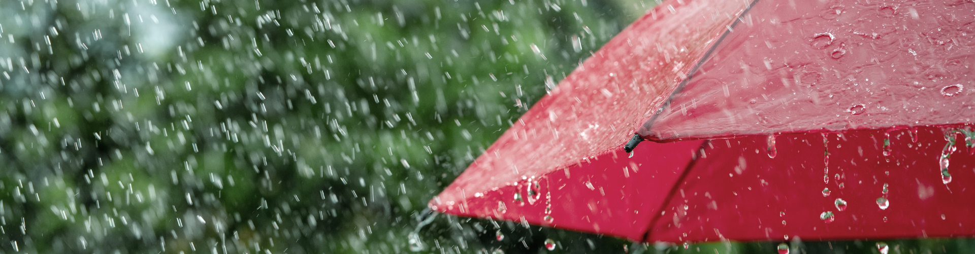 https://tourismerimouski.com/wp-content/uploads/2026/08/Banniere_pluie_horizontal.png